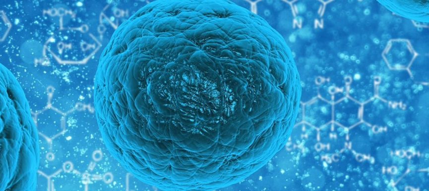 Marketing authorisation: "Exploitation", hosting and maintenance